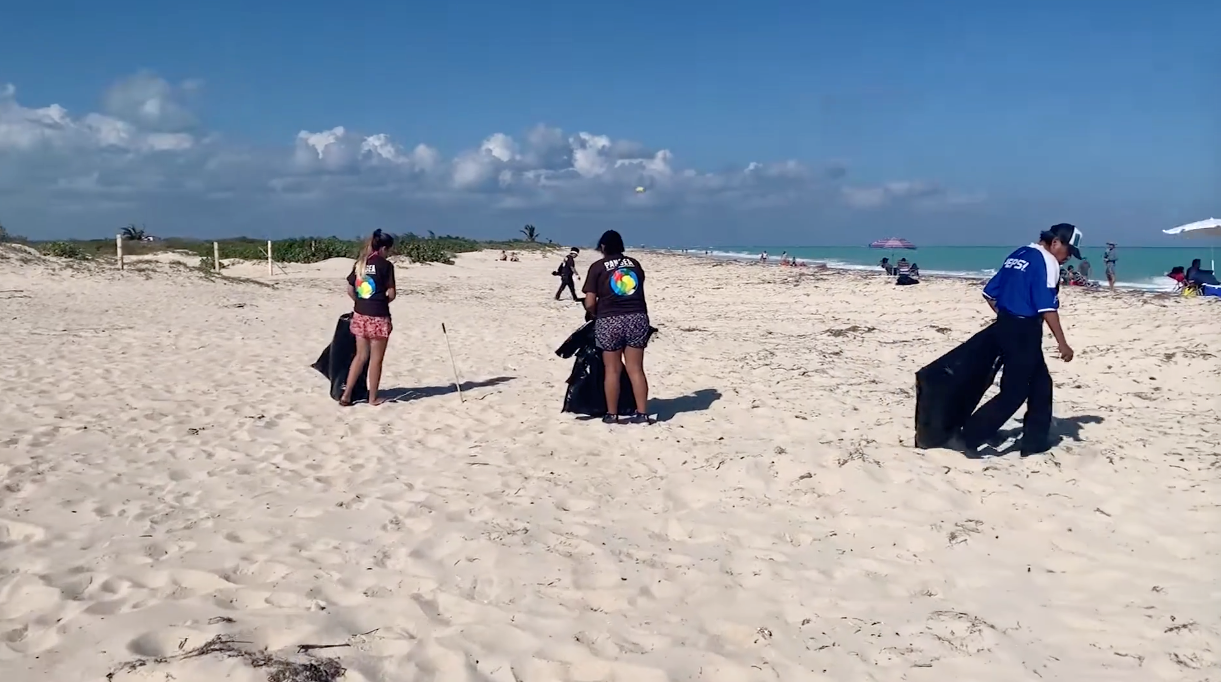 Pangea Cleanup in Isla Blanca, Mexico